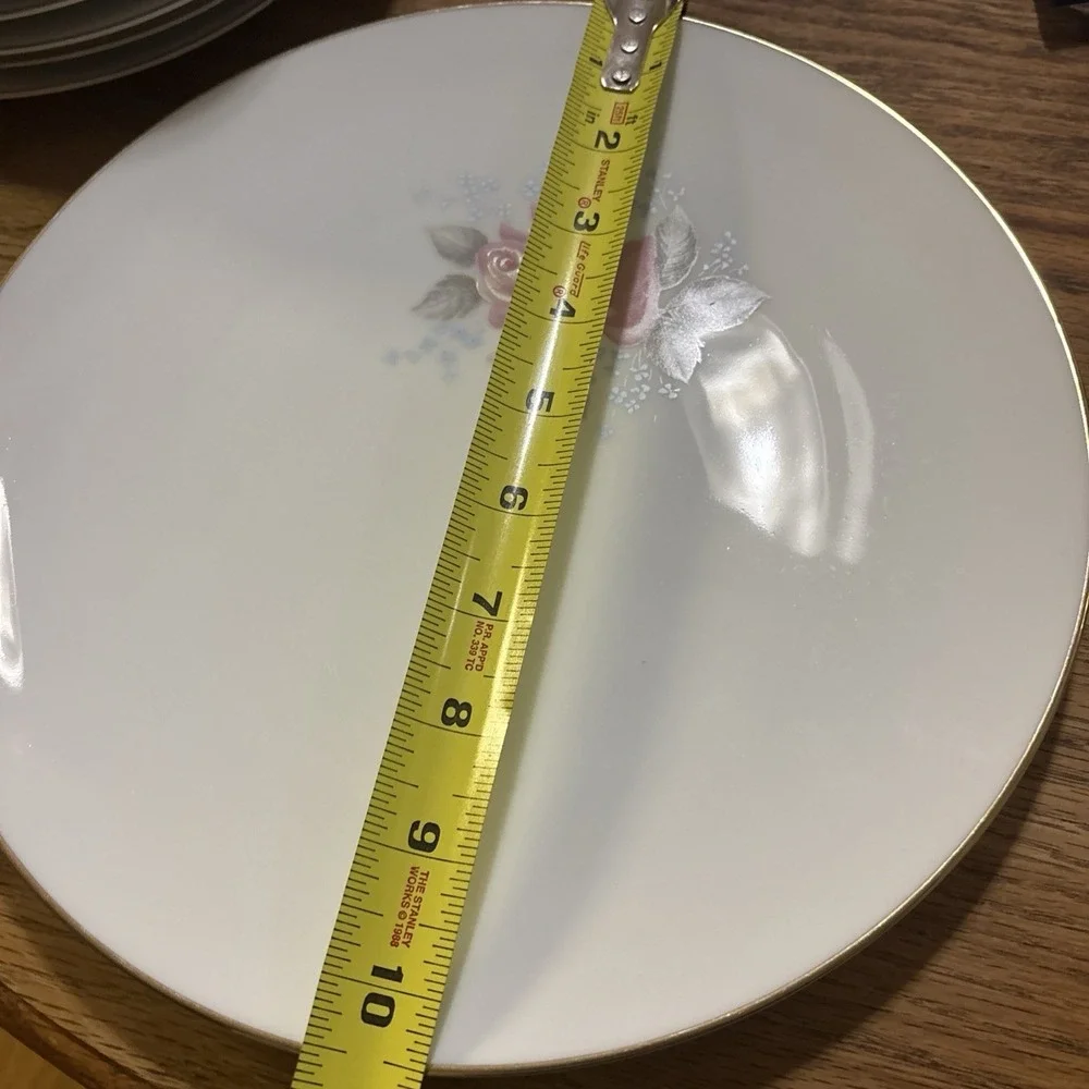 Vintage Noritake 6238 Roseville 10 1/2